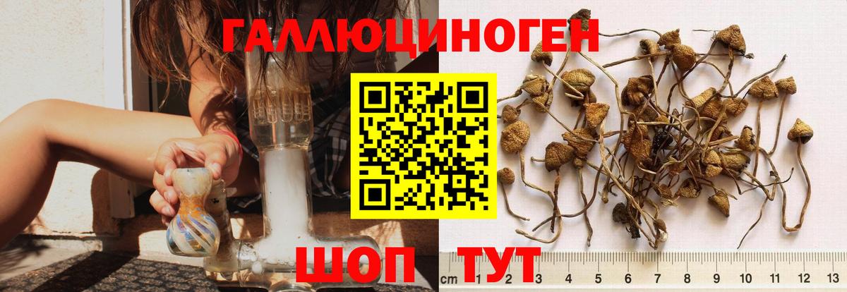Псилоцибиновые грибы прущие грибы Бугуруслан