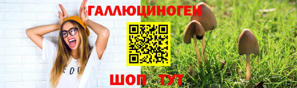 Бугуруслан  Галлюциногенные грибы Cubensis  Вход с VPN  Галлюциногенные грибы Cubensis 